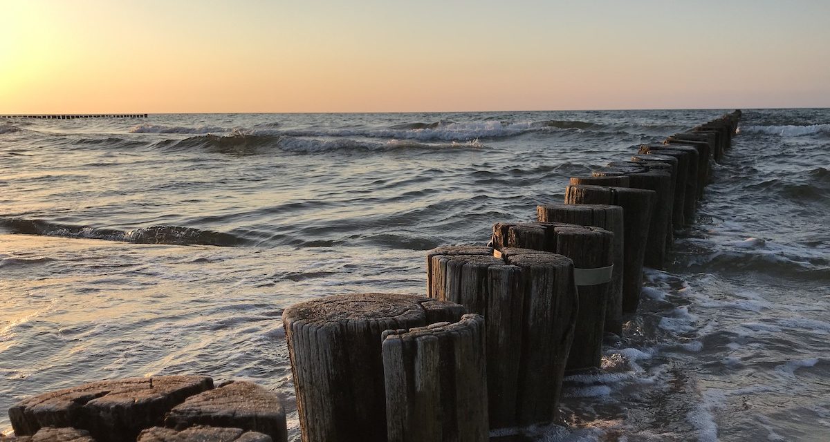 DE – Ostsee, Darß (6/2019)