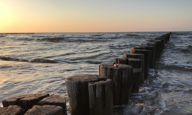 DE – Ostsee, Darß (6/2019)